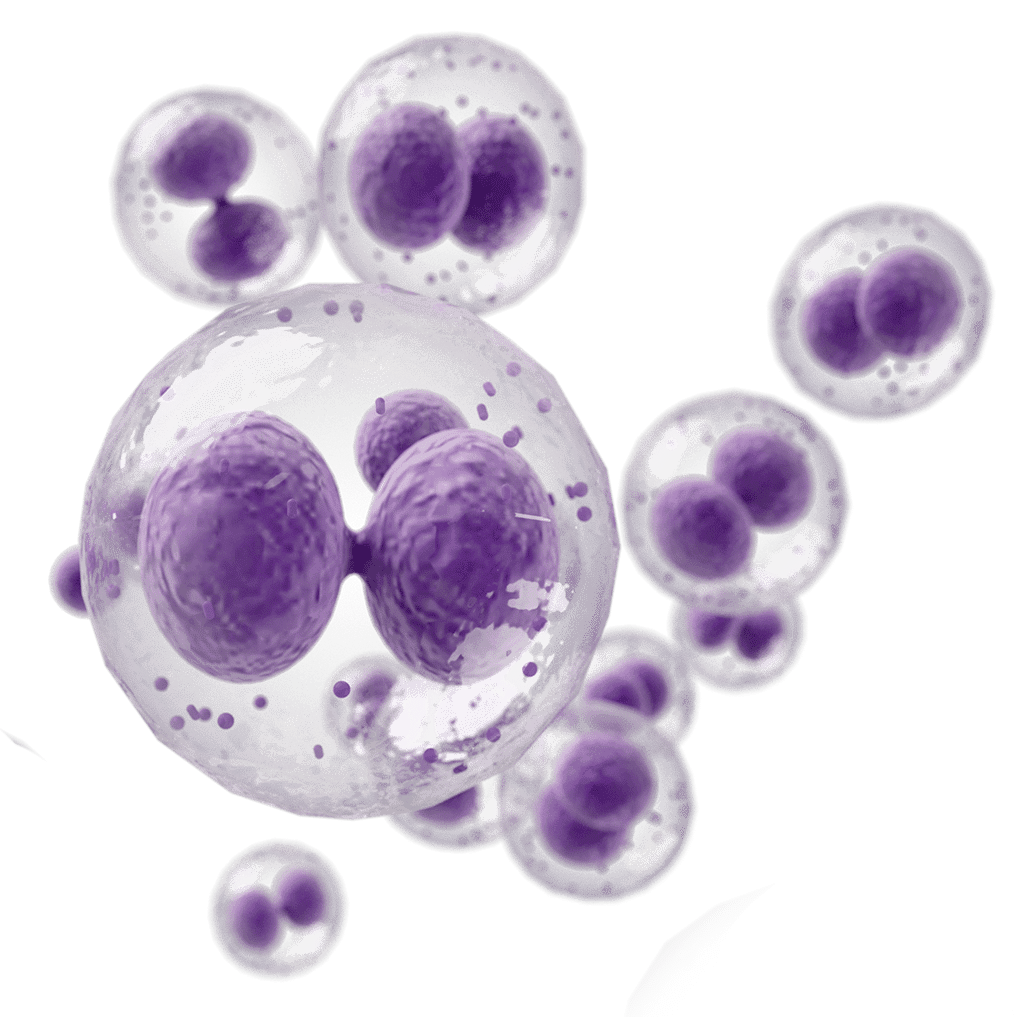 Stem Cell JB | Stem Cell Therapy